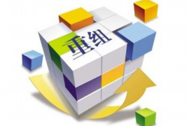 若尔盖融资清欠服务