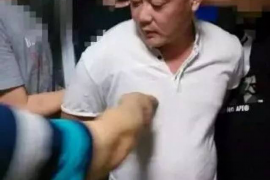 若尔盖企业清欠服务